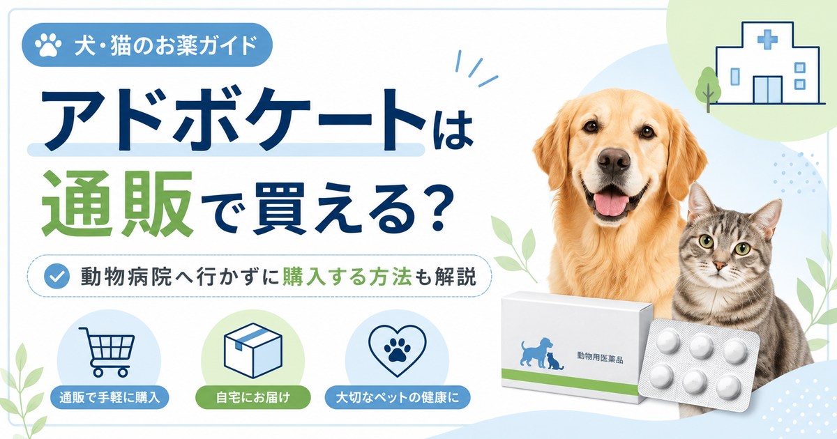 アドボケートは通販で買える？動物病院へ行かずに購入する方法も解説